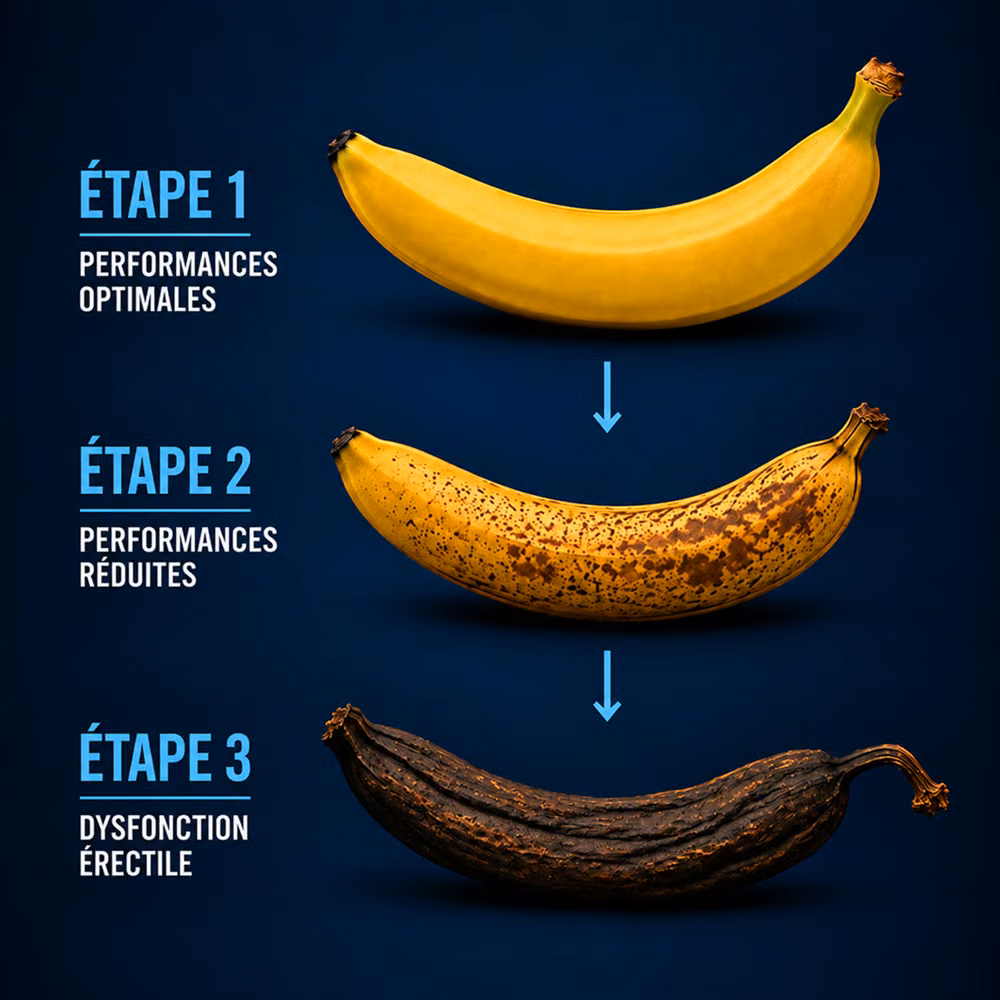 Infographie en trois étapes sur fond bleu marine : performances optimales, performances réduites puis dysfonction